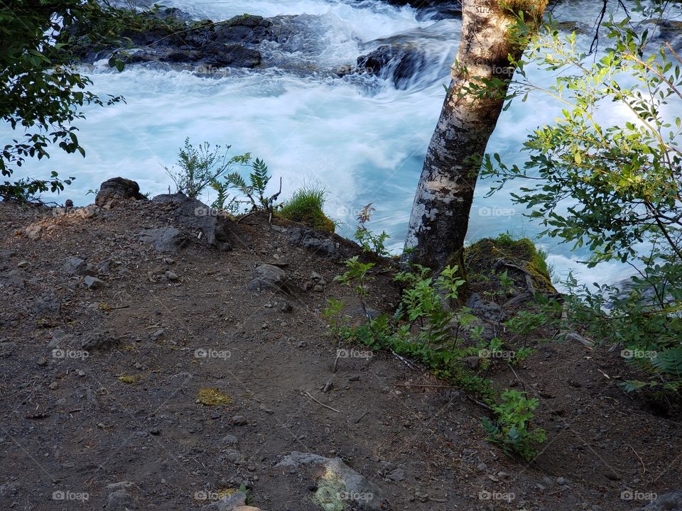 The sun rises on the rapids of the McKenzie River at Koosah Falls in Western Oregon on a summer morning.