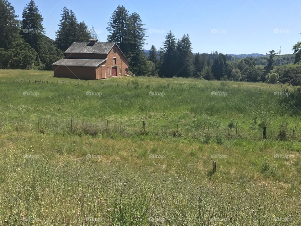 Lonesome barn