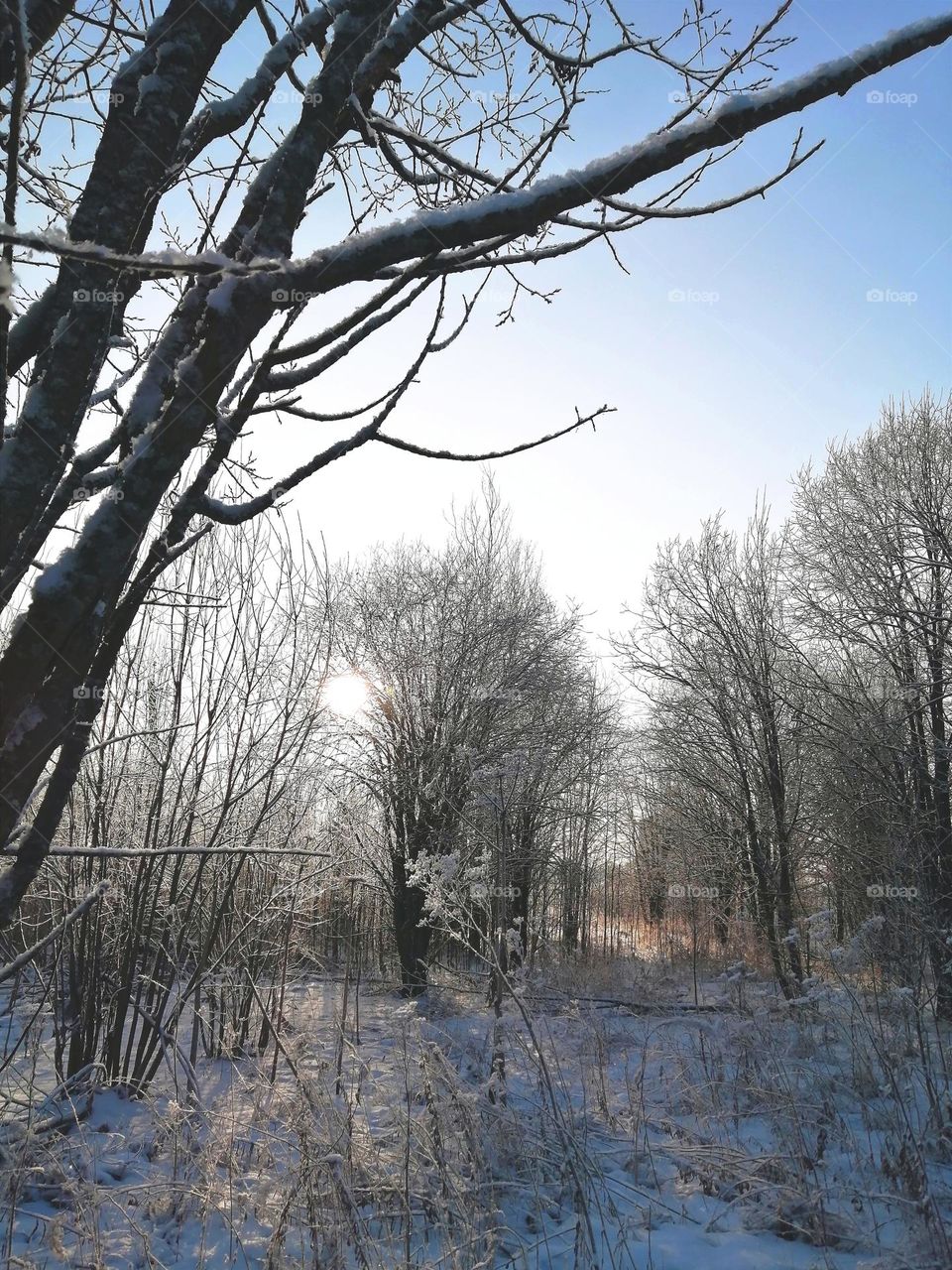 День чудесный The sun has risen, the day is fine