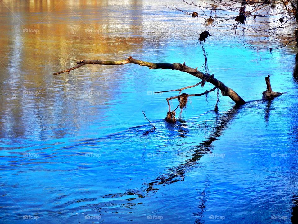 Reflection on the water. 