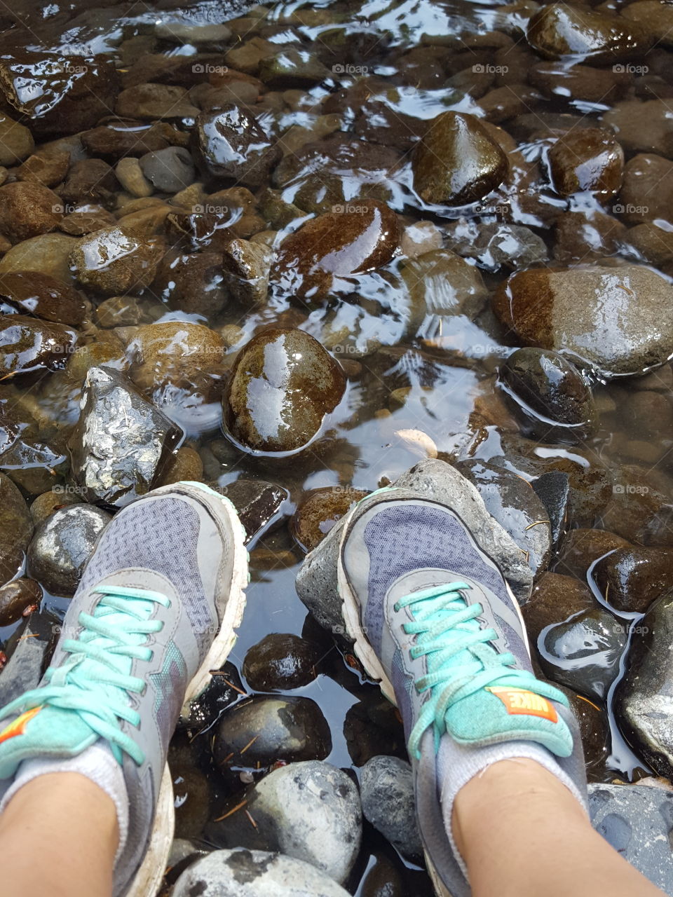 reflective river rocks