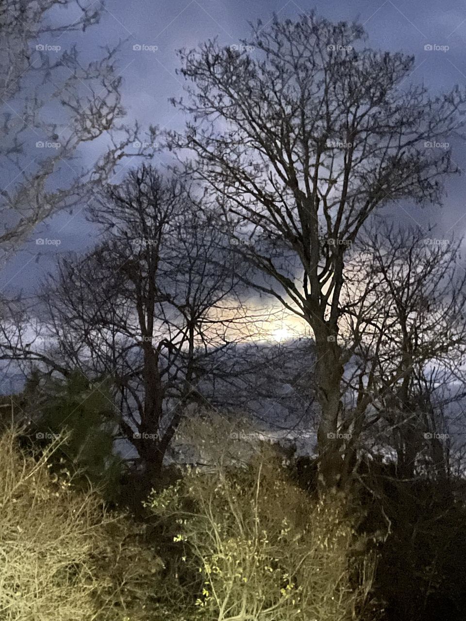 In the Dark of Night