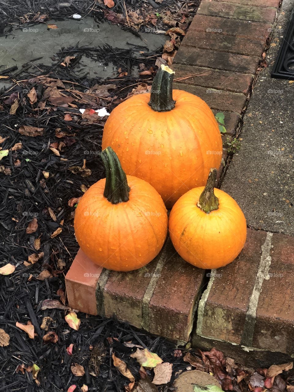 outside pumpkins on front porch trio
