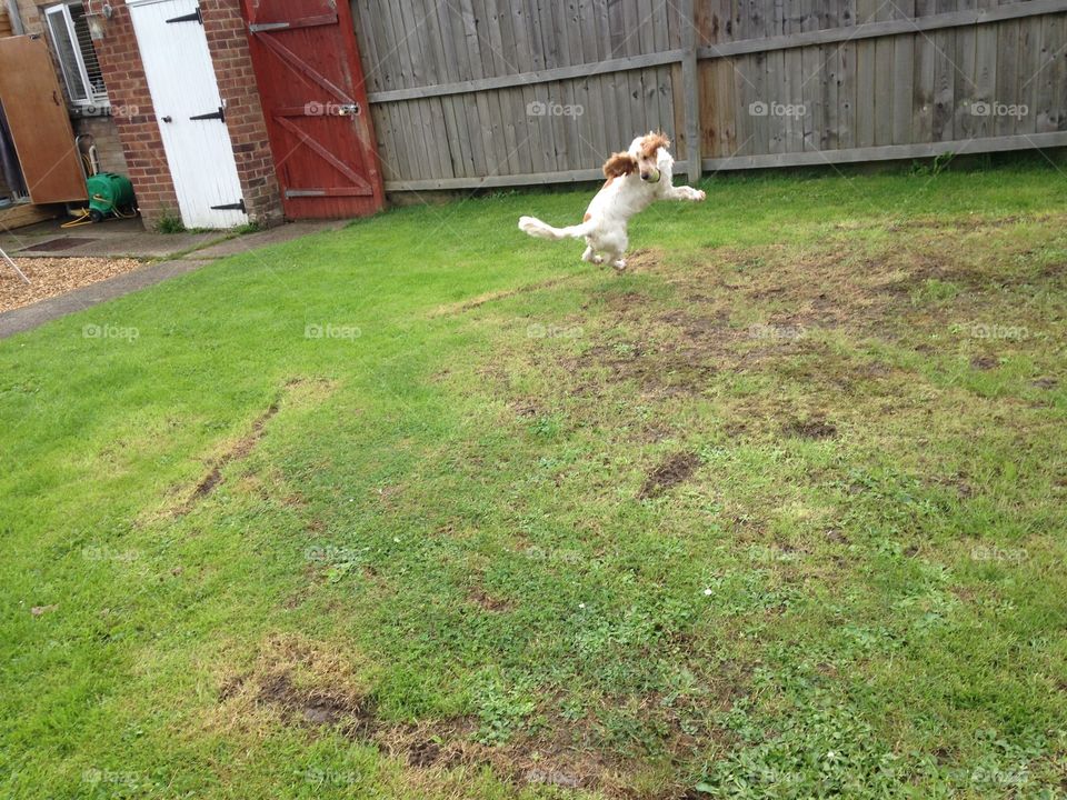 Reach😂 For the skiessssss 🌌🌅