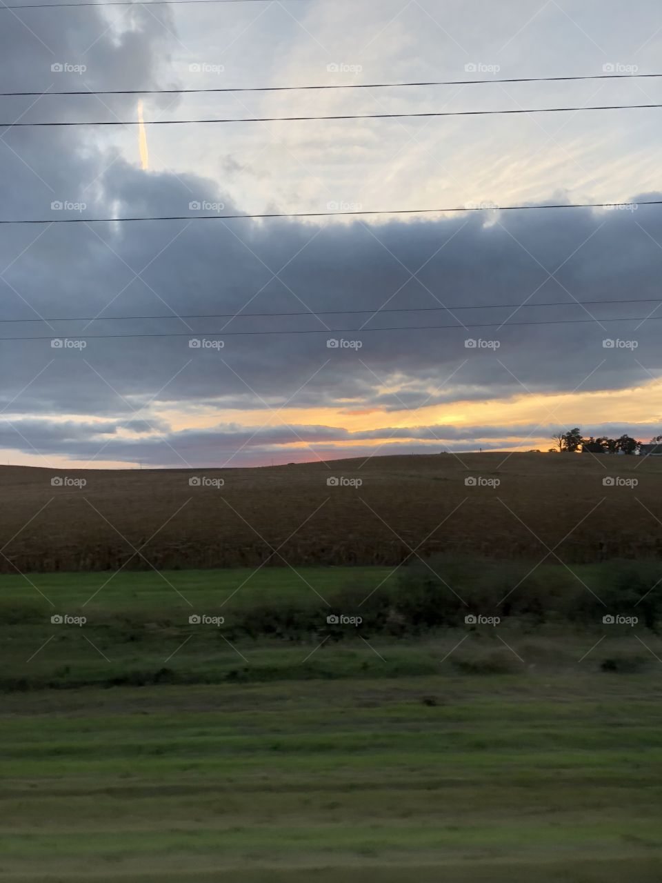 Crops at dusk