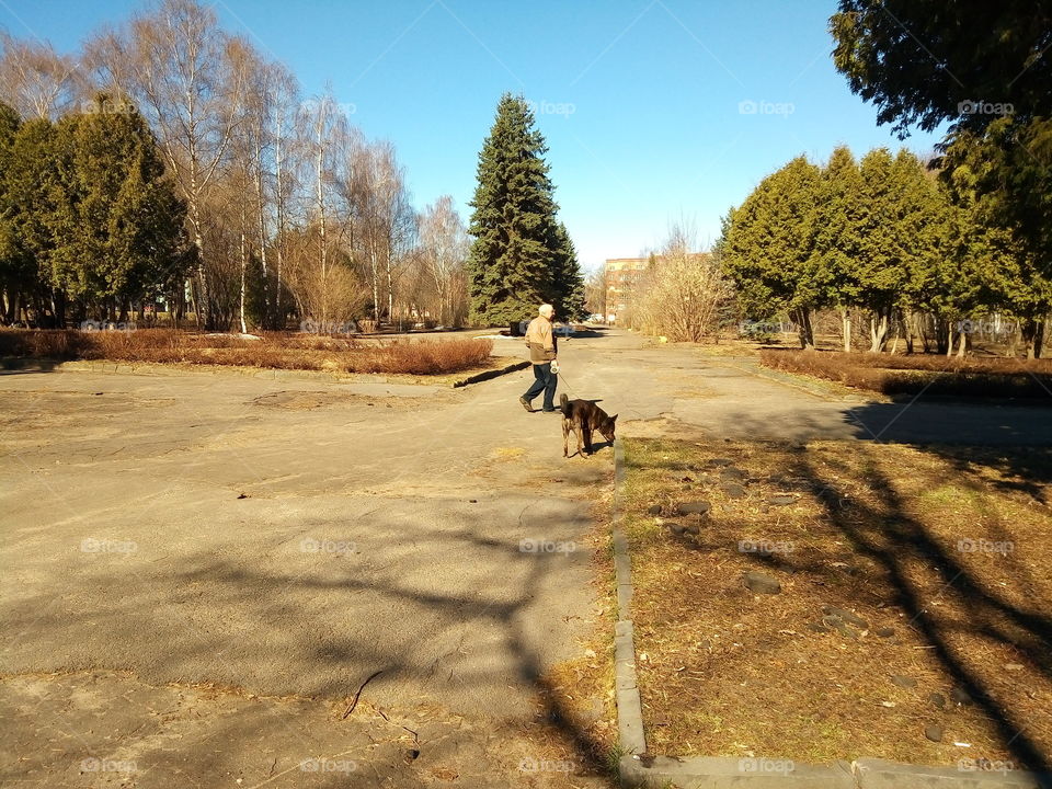 парк.выгул собак