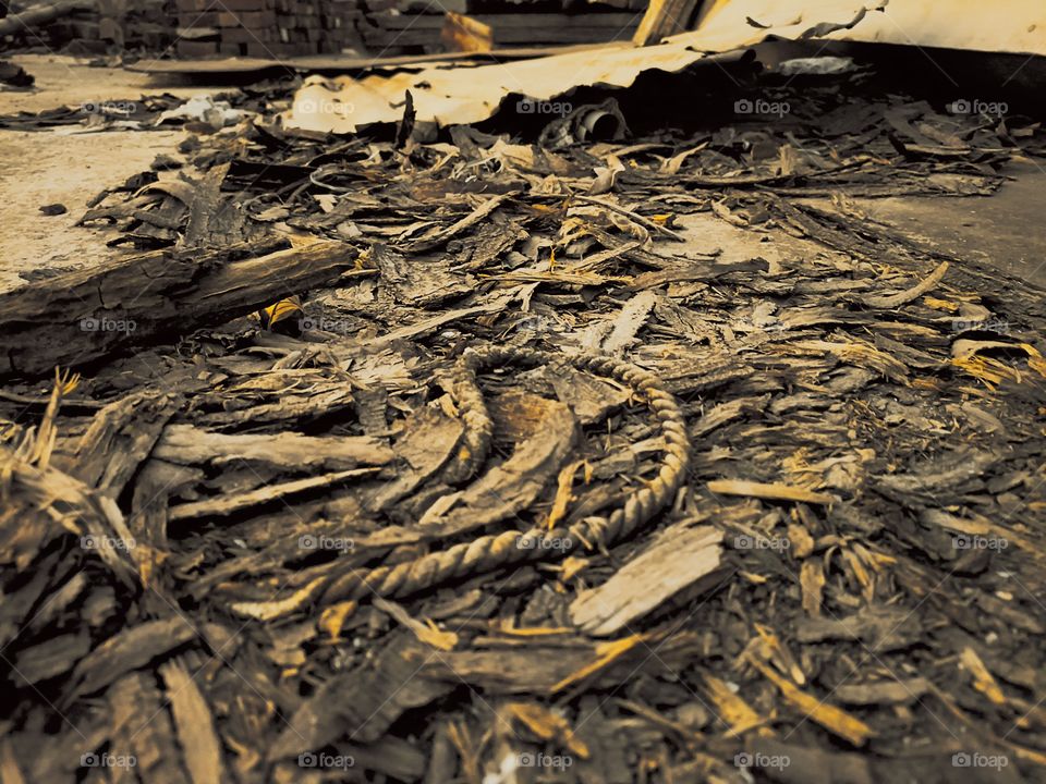 editors' choice: photo of the week