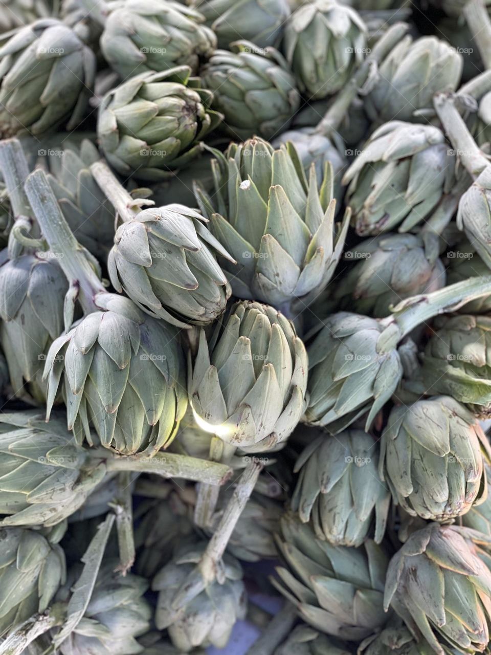 Artichoke 