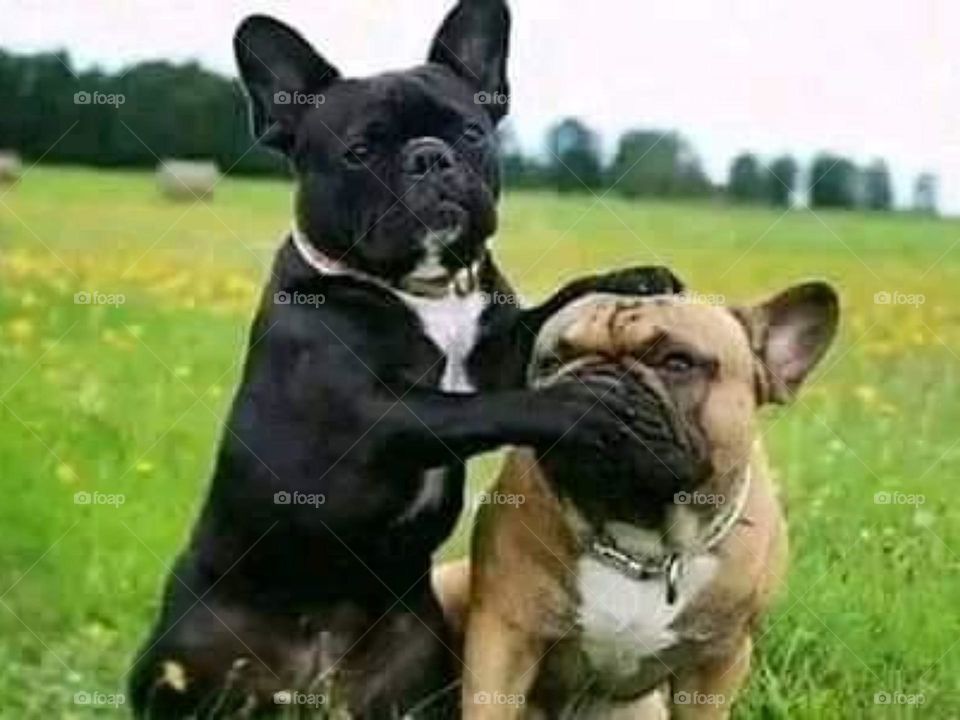 Learn how to control your mouth 😁