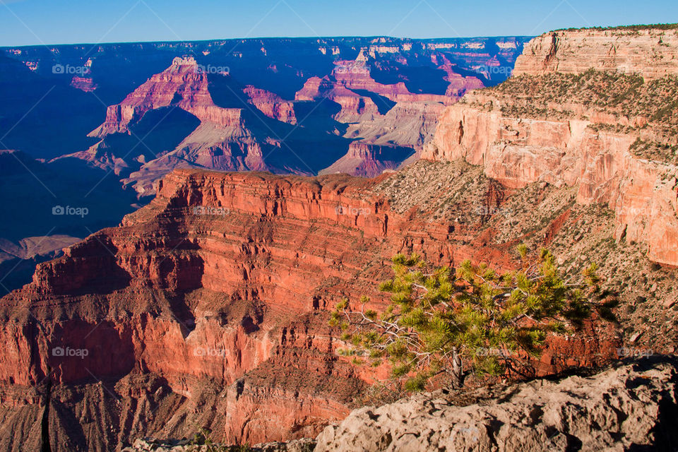 Grand Canyon national park