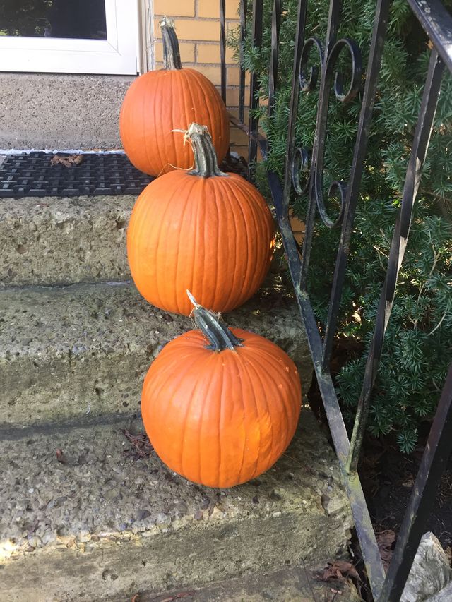 Pumpkins 