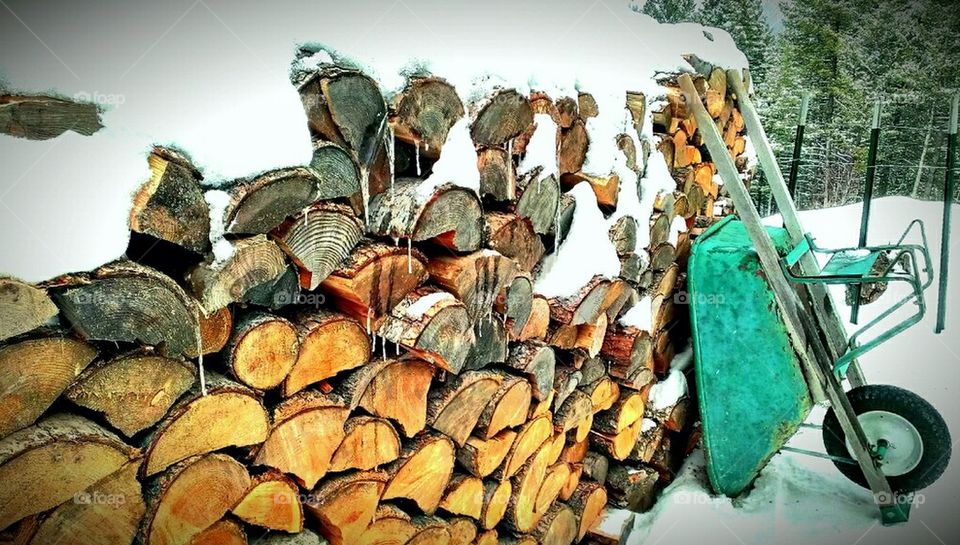 Wood Pile #2