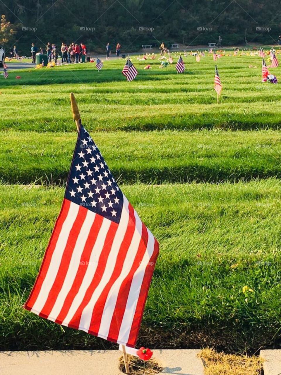 America flags 