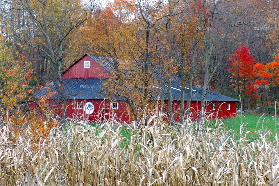 Hidden Autumn Barn