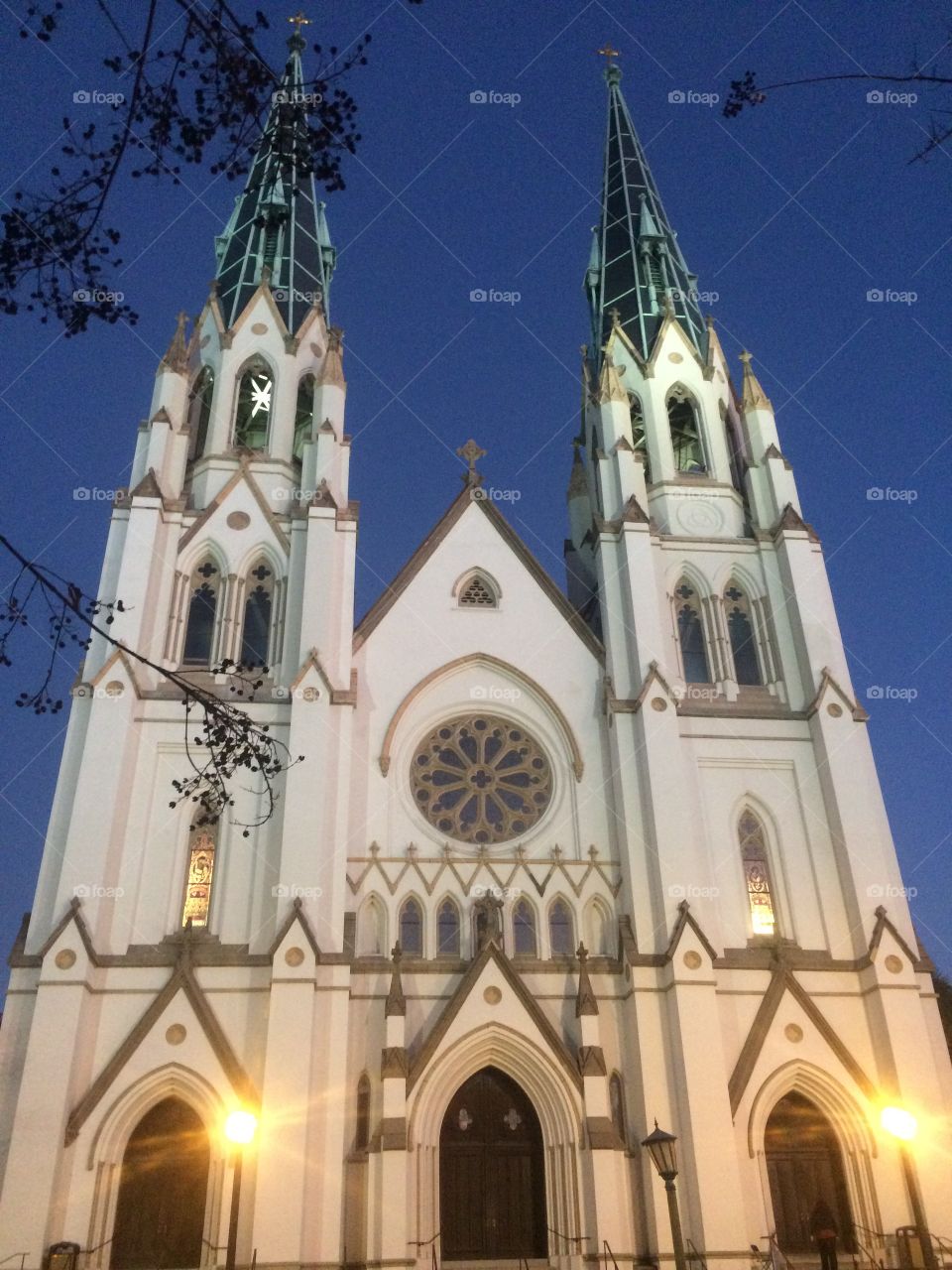 Savannah Georgia Cathedral