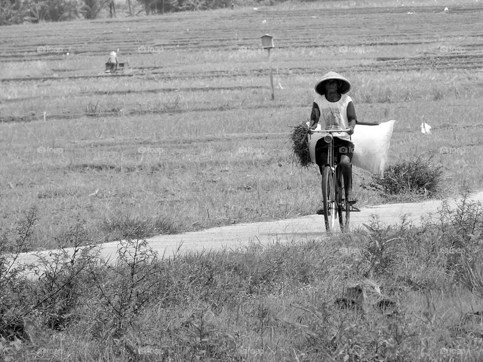 a farmer is pedaling his bicycle home from his field bringing grass to feed his cattle