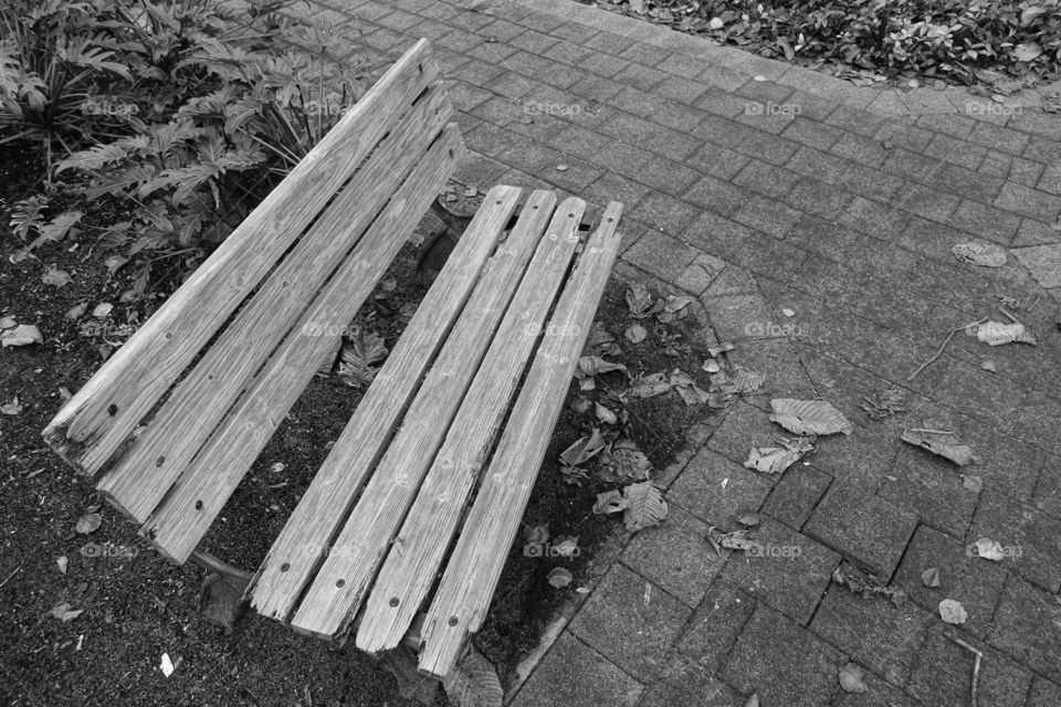 A wooden bench in the garden where leaves were fallen on the pavement made of stones. Monochrome image.