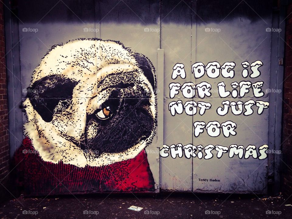 Dog street art