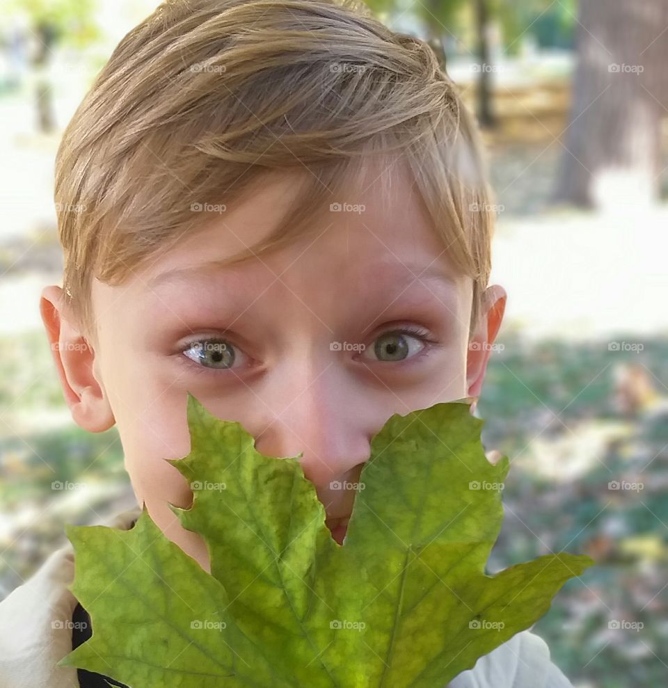 Portrait of a cute boy with a maple leaf in the park in the early autumn days