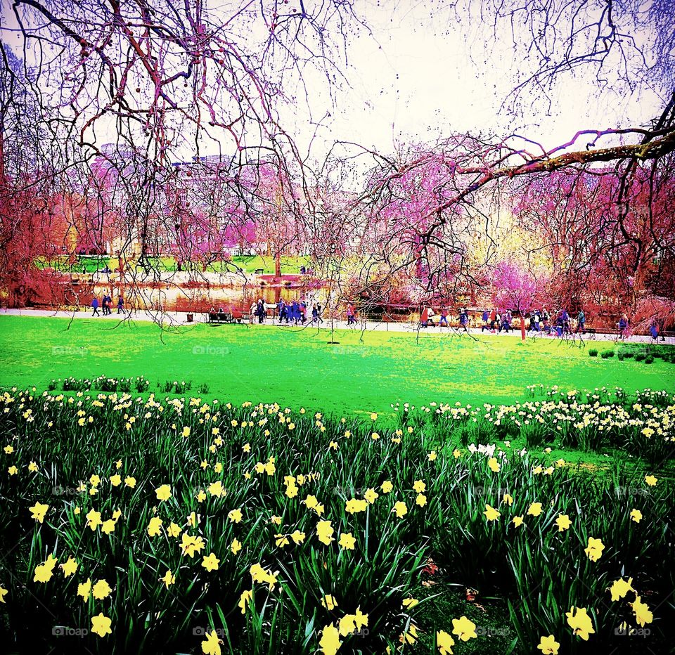 Enjoying the colours of spring and enjoying time in the park 