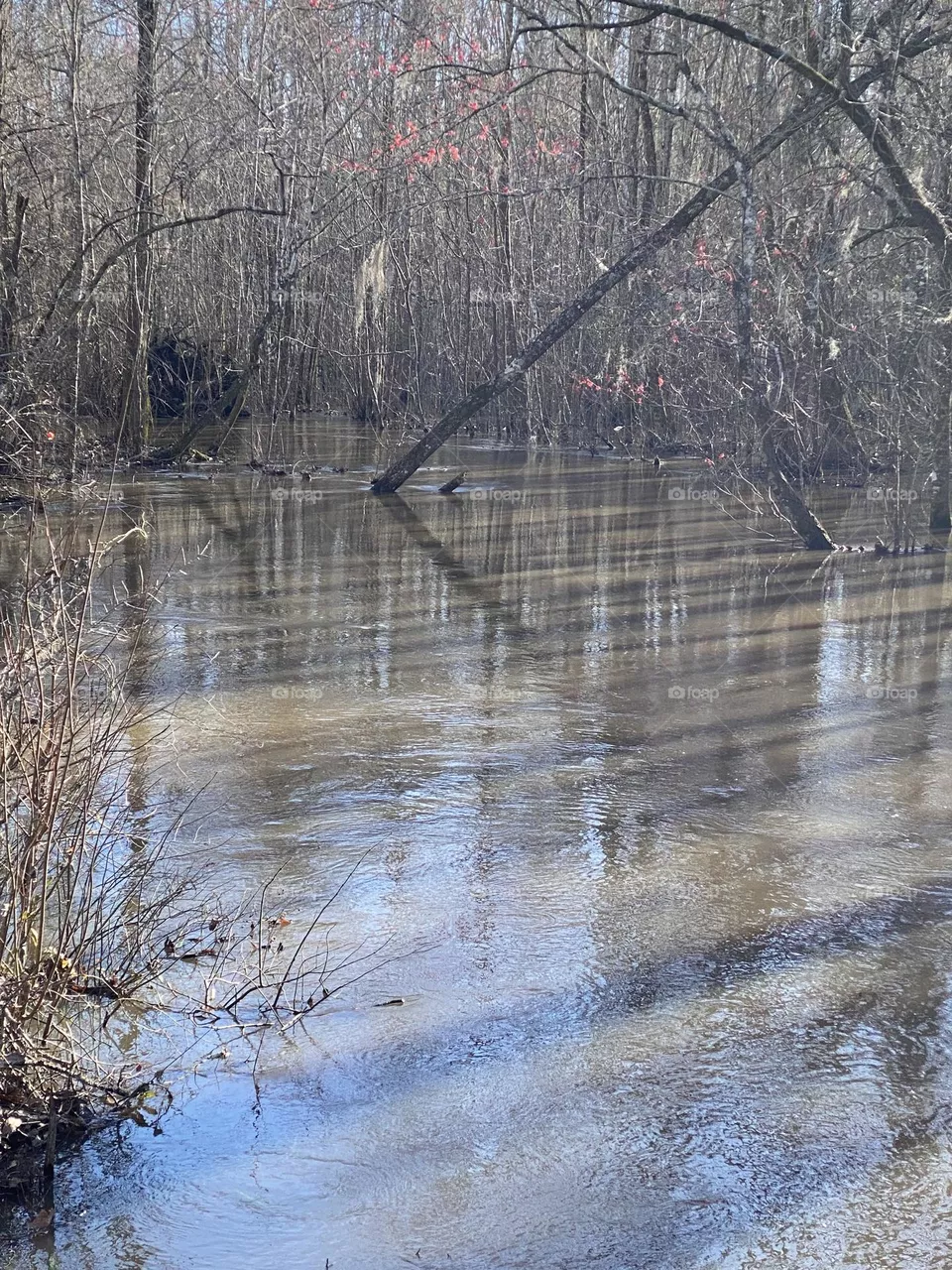 After the heavy rains 