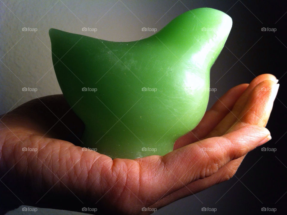 green bird hand portrait by lisaphotoz