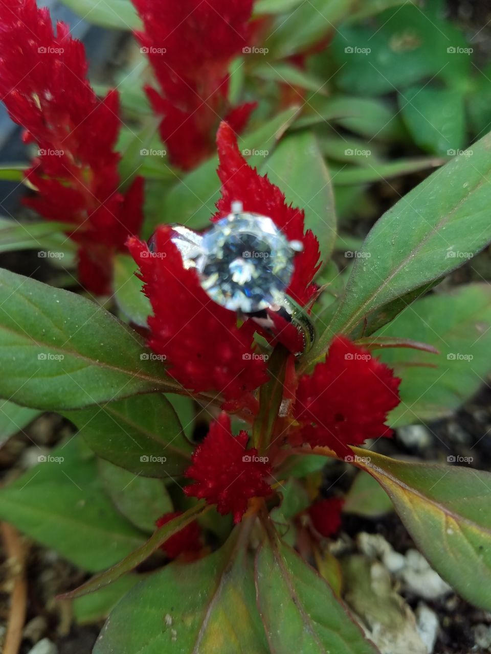 Flower Enagement Ring