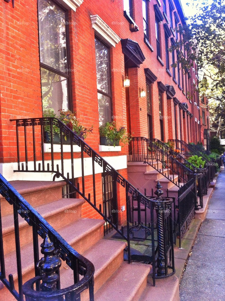 Brooklyn brownstones