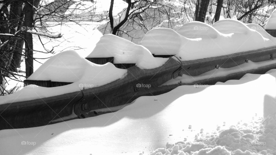 Snow in the forest