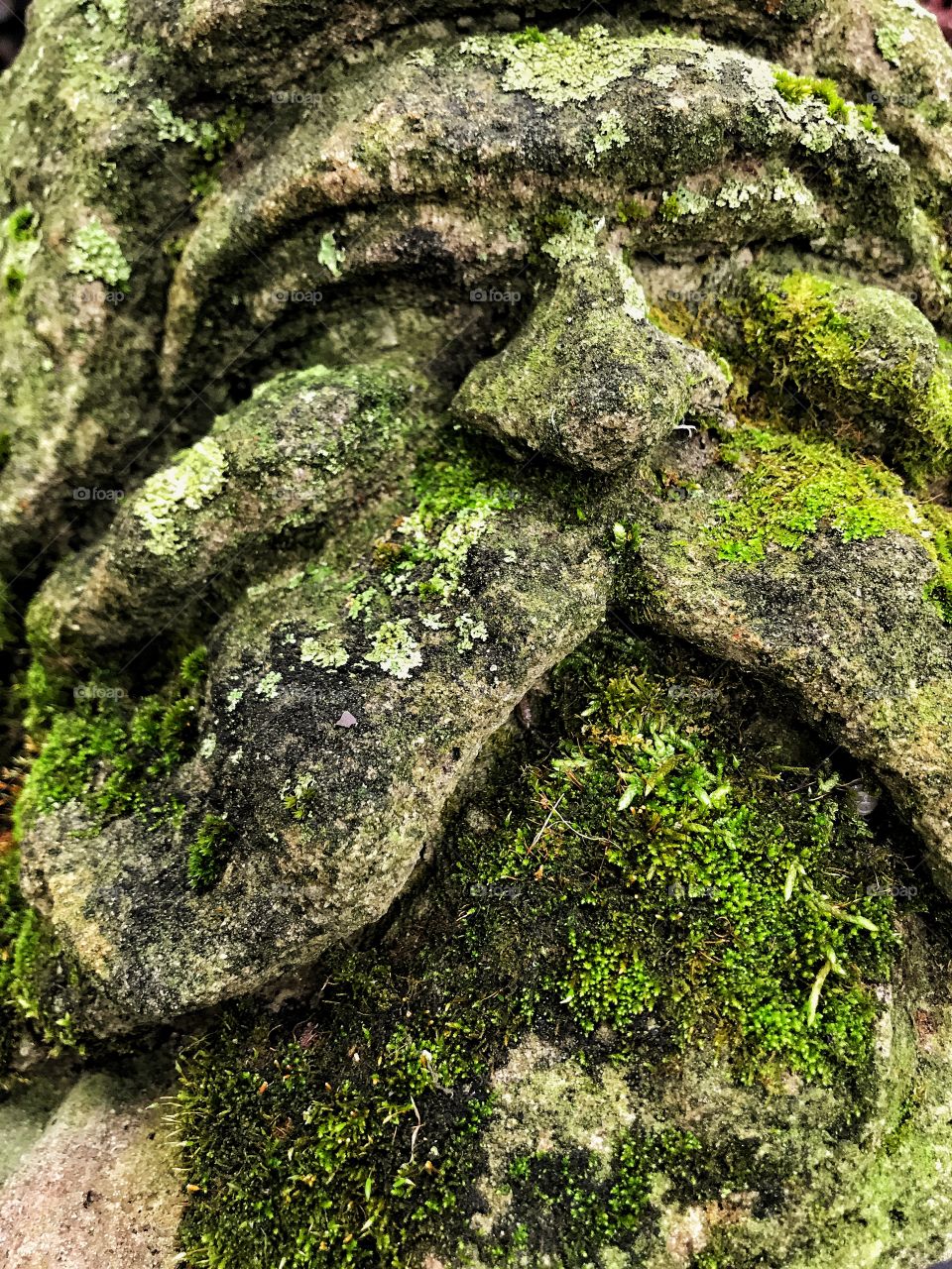 Stone moss man

