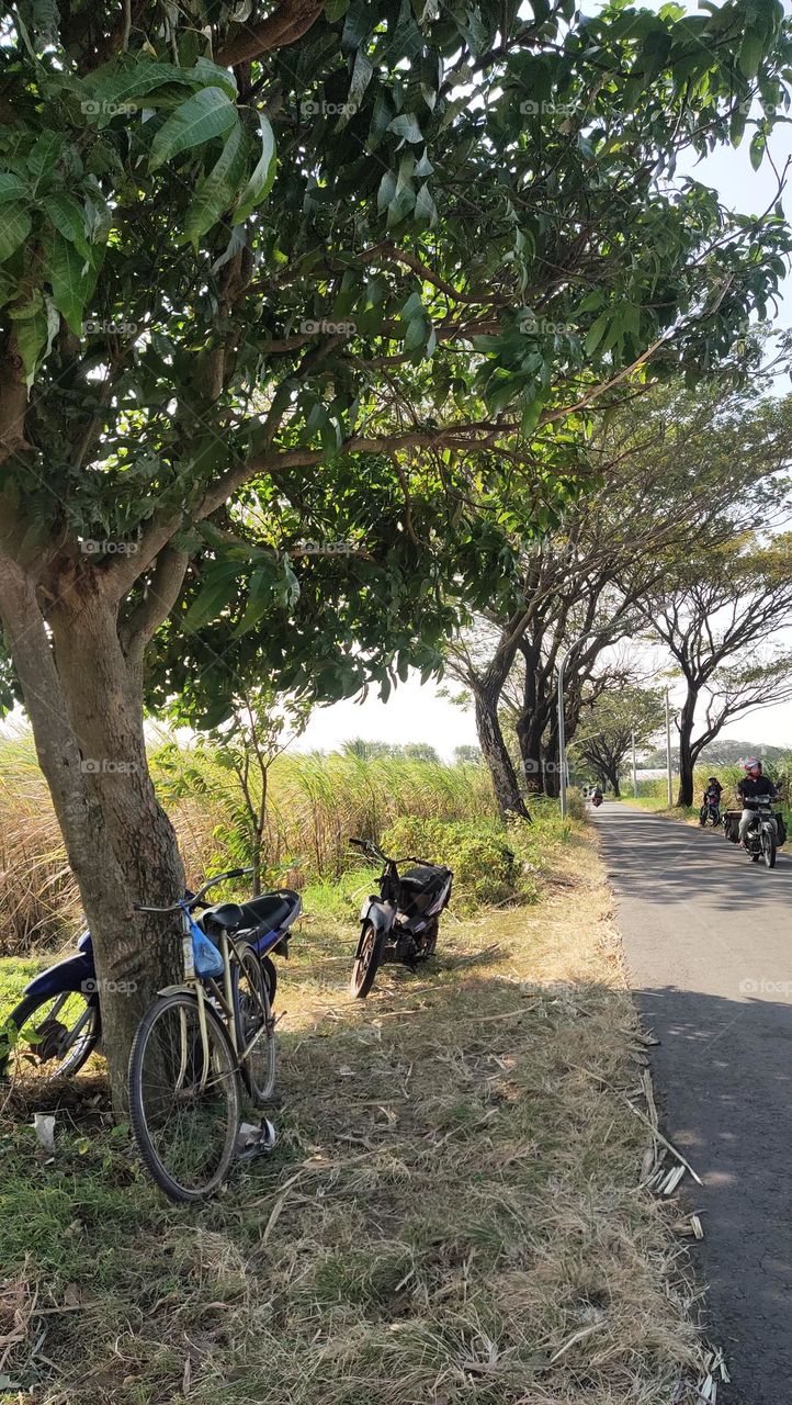 hanya ada satu sepeda