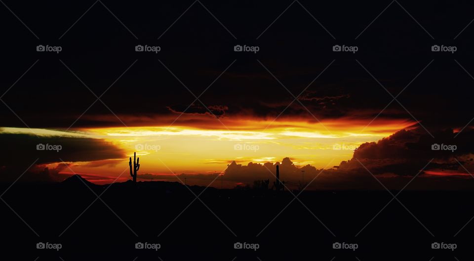 Arizona Sunset