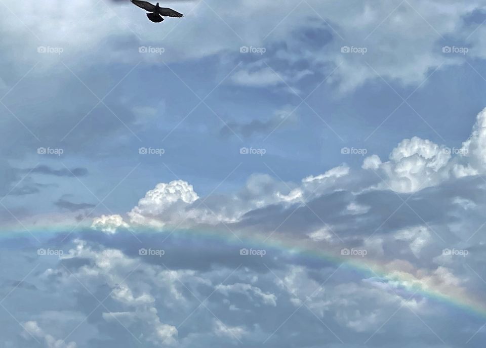 Rainbow on a cloudy day! 