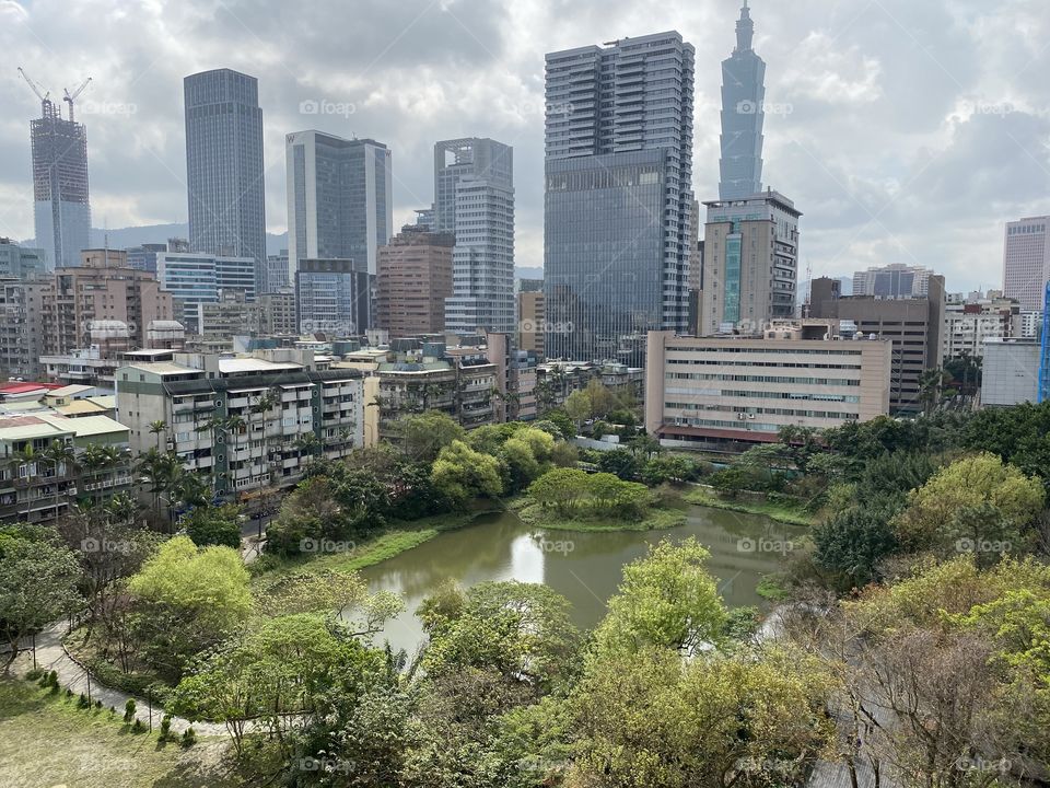 The artificial wetland in the middle of the city.