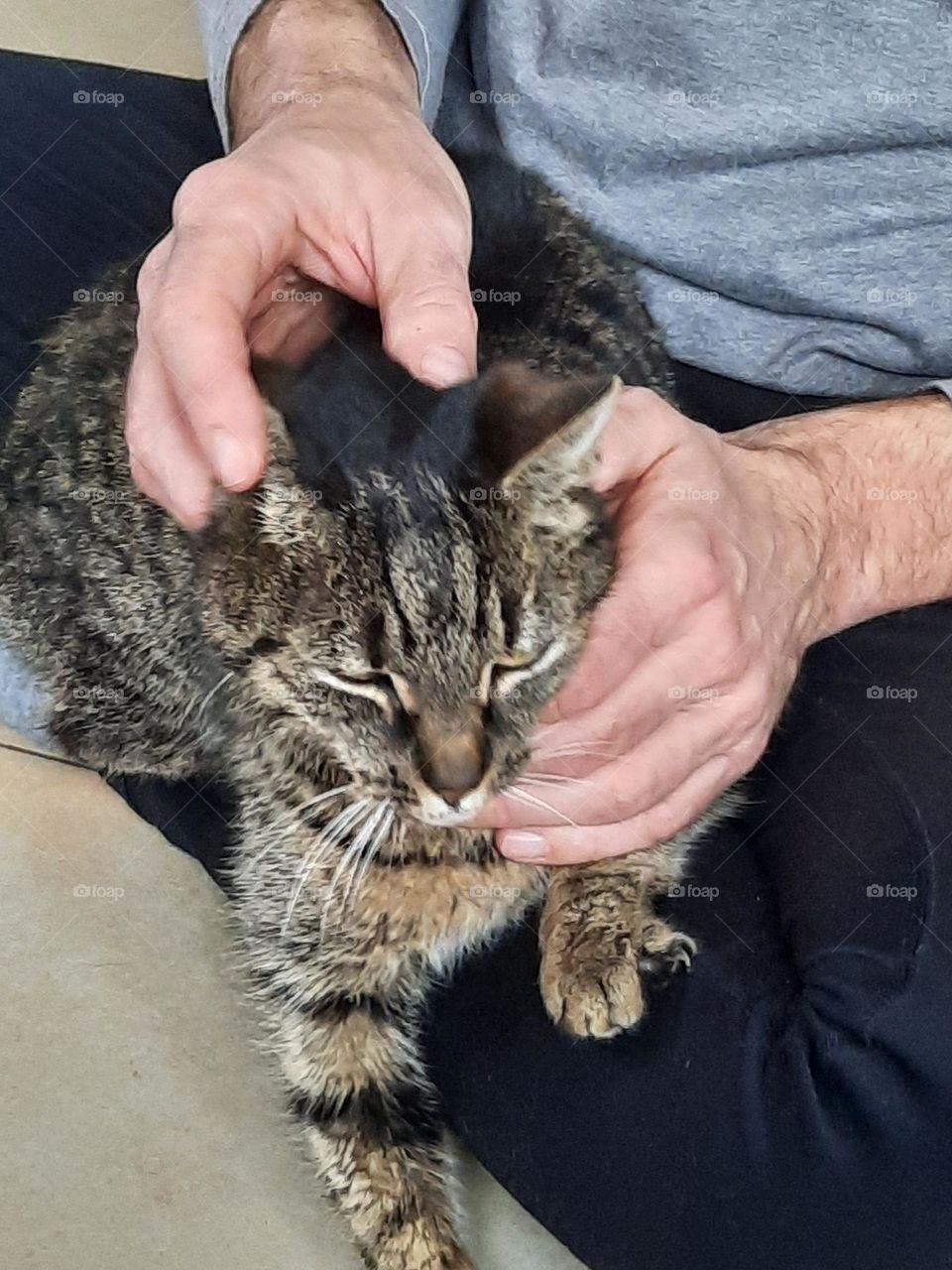 man petting his tabby cat