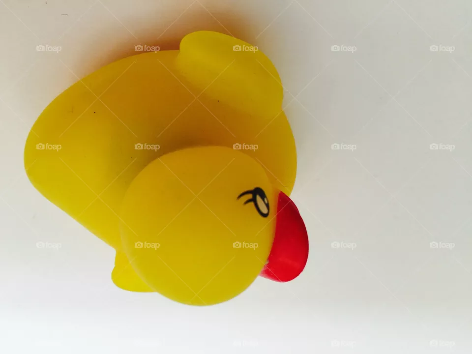 My duck