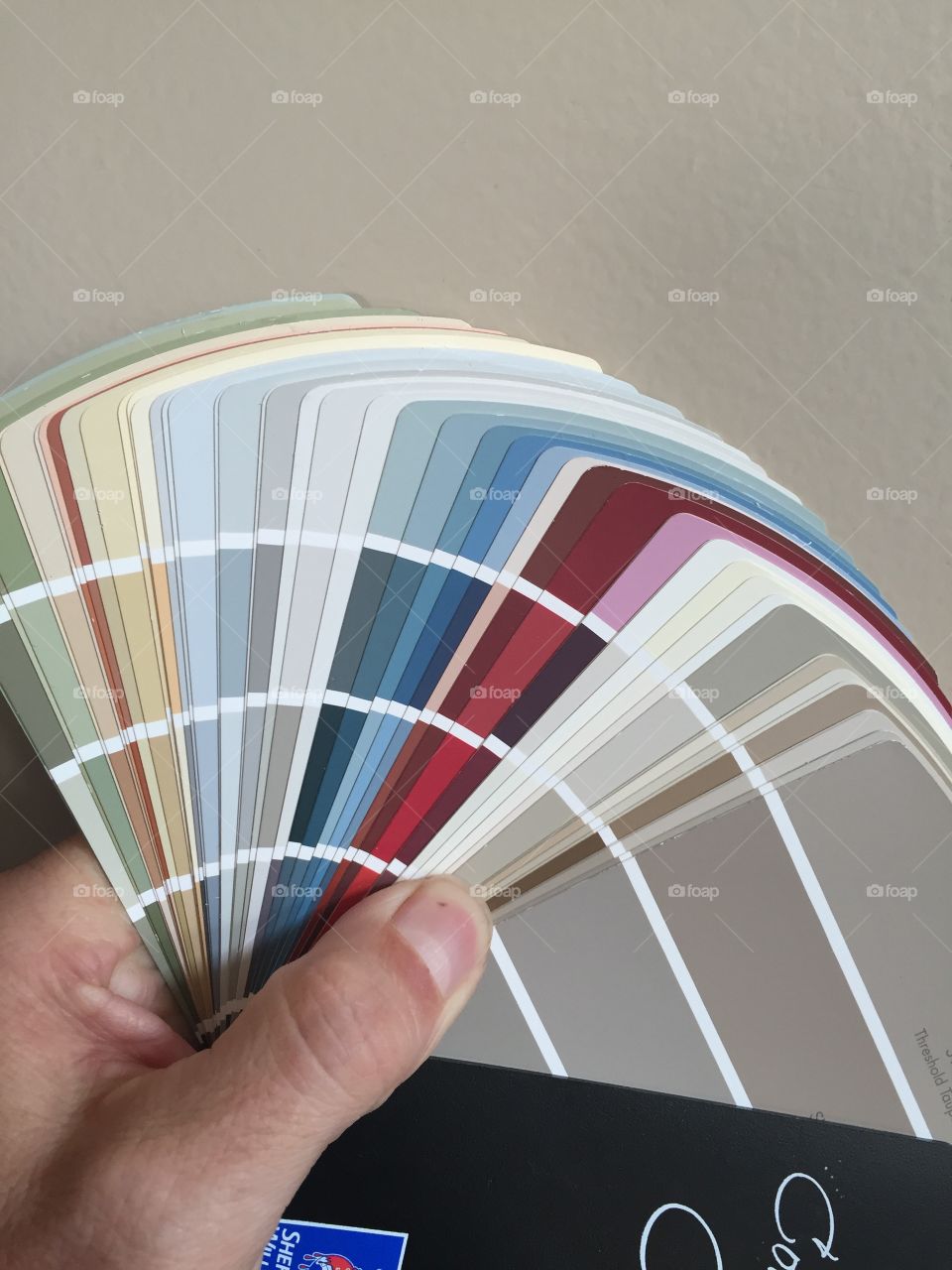 Paint swatches