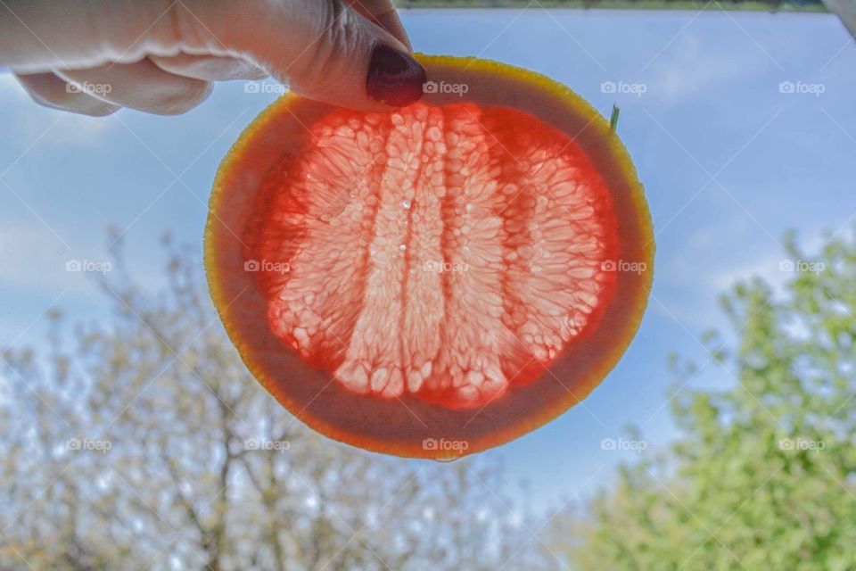 Grapefruit macro