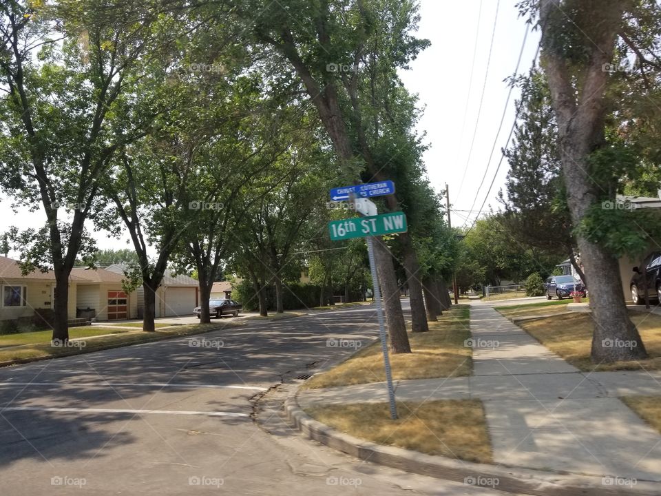 Road, Street, Guidance, Tree, Environment