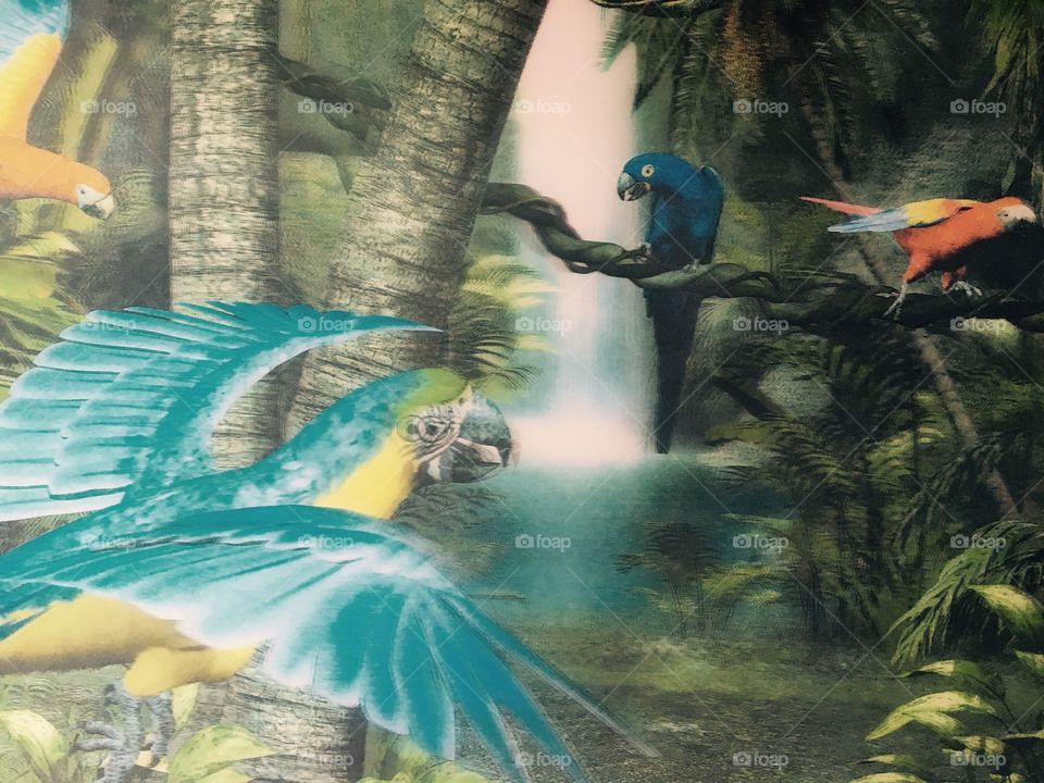 Parrots. Colour. 3D.