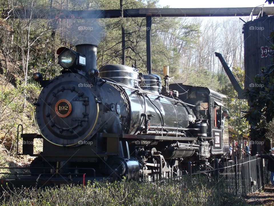 Steam Engine Train