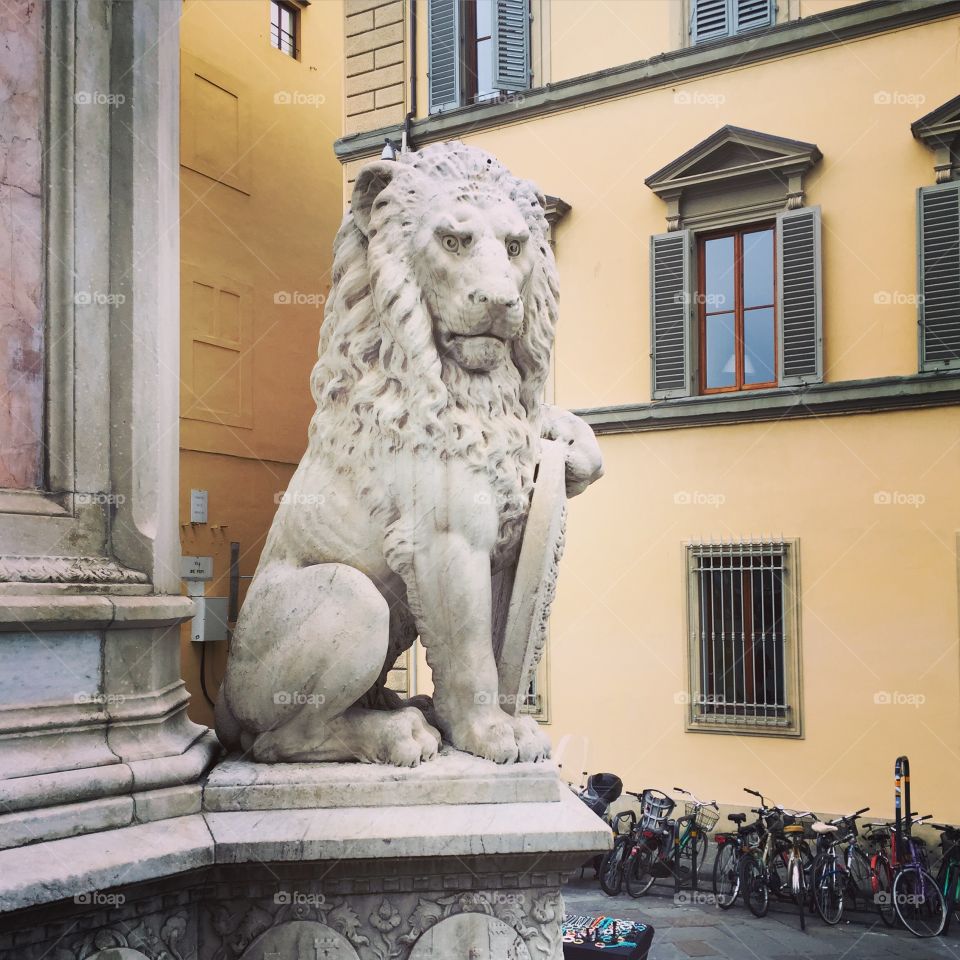 Lion in Florence 