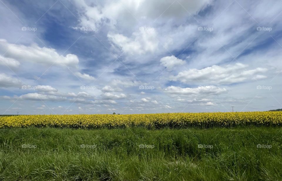 Fields and sky