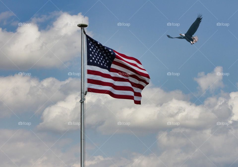 Eagle and U.S. flag