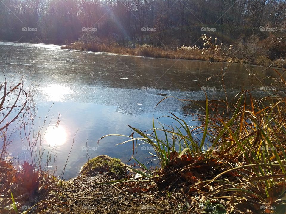 Icy lake in a park