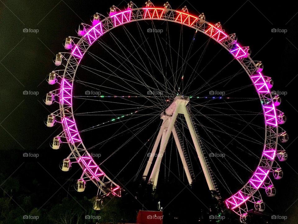 Ferris Wheel in Pink neon