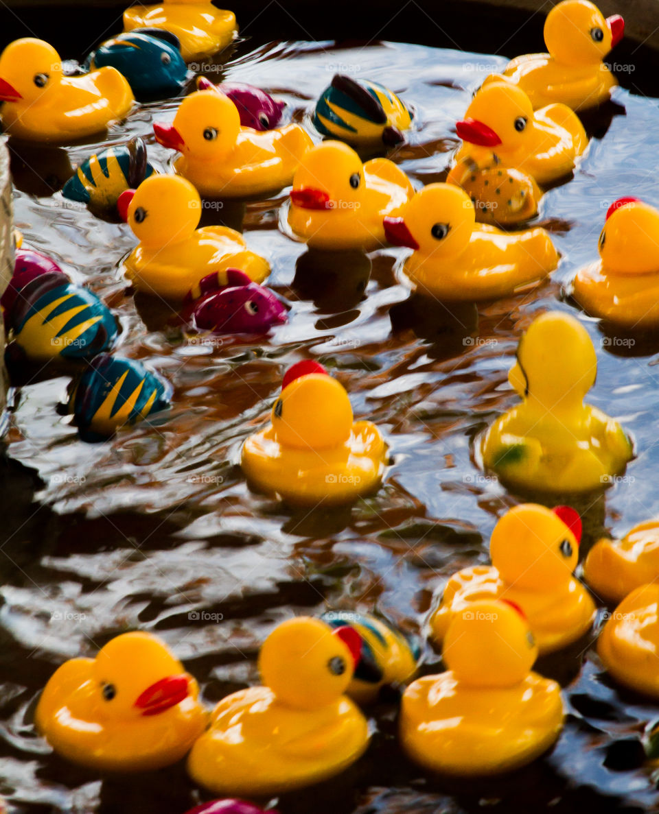 rubber ducks. game of chance