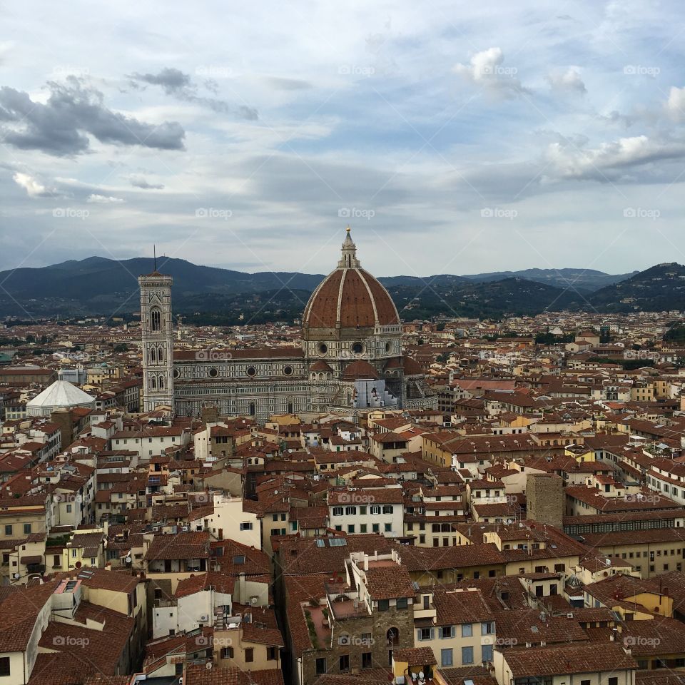 Florence view in summer

