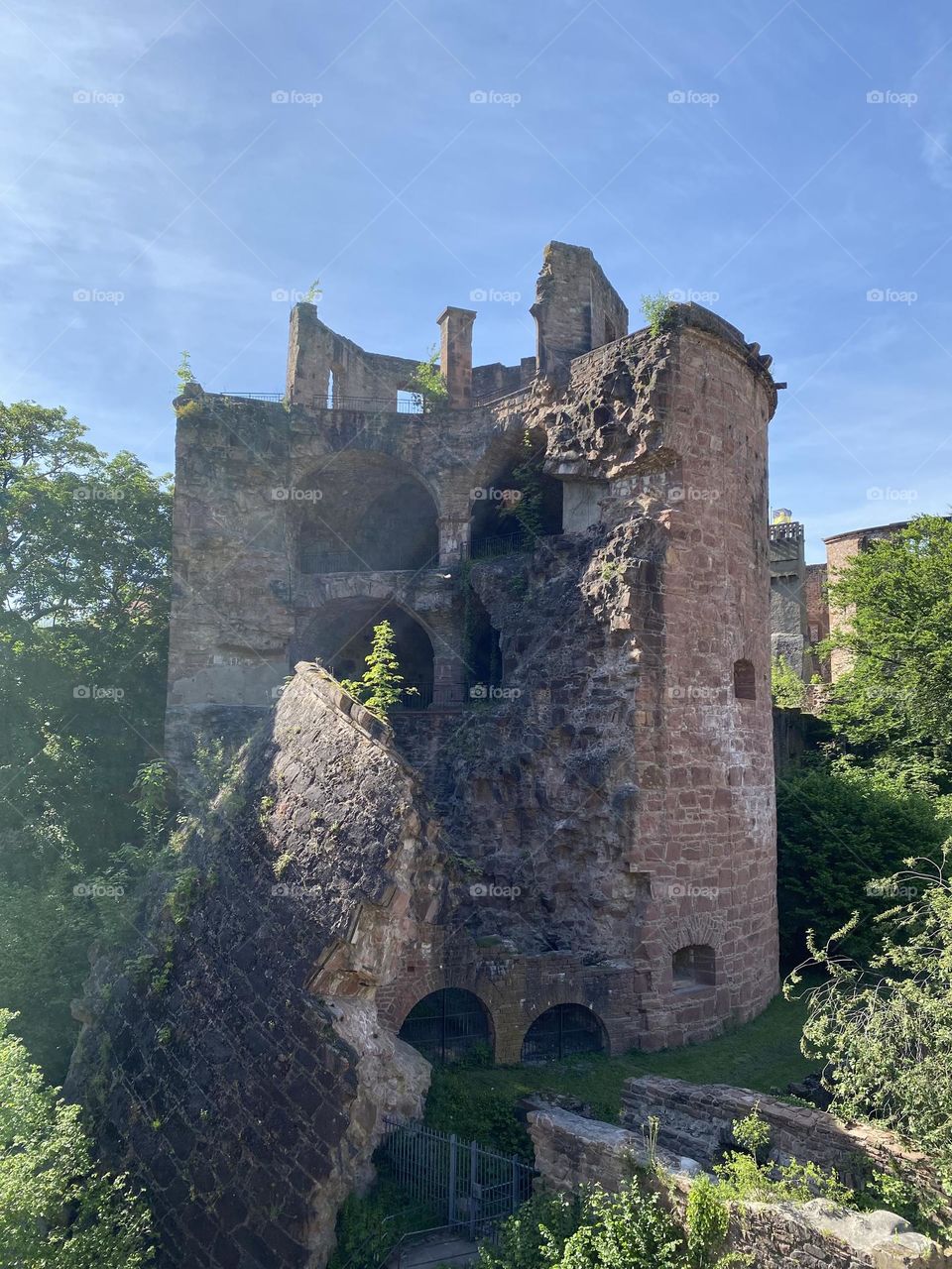 Castle ruin
