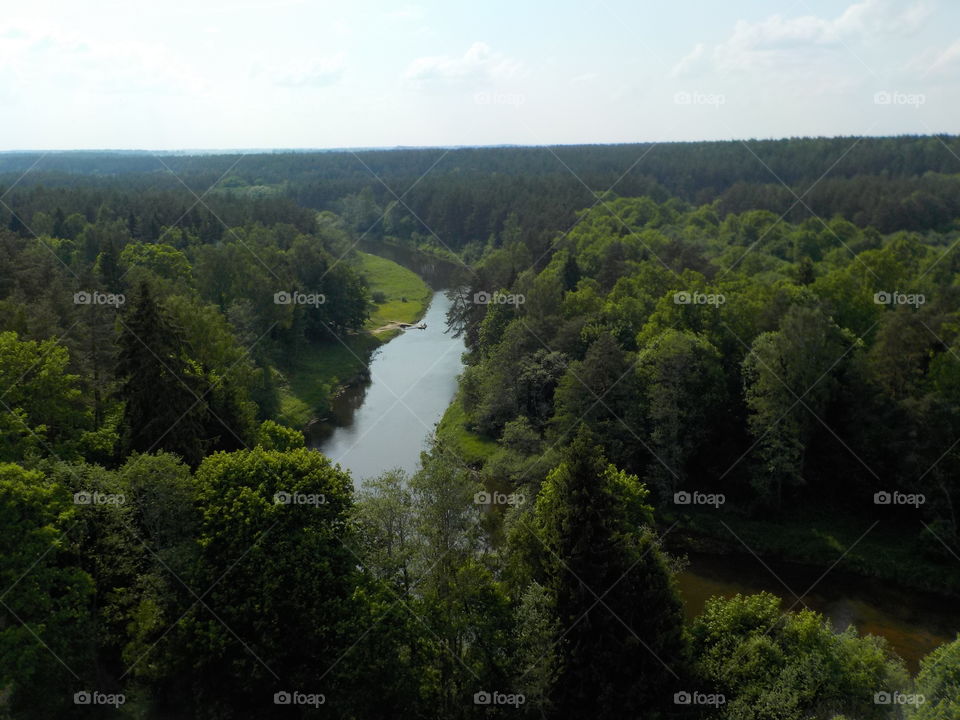 River and forest (Lithuania, Anyksčiai)